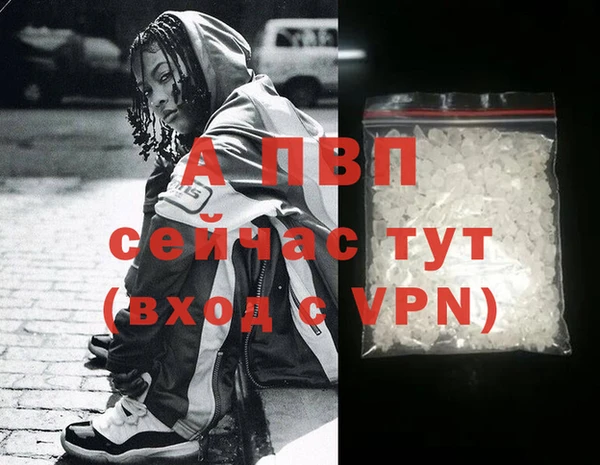 шишки Богданович