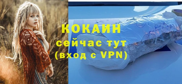 шишки Богданович