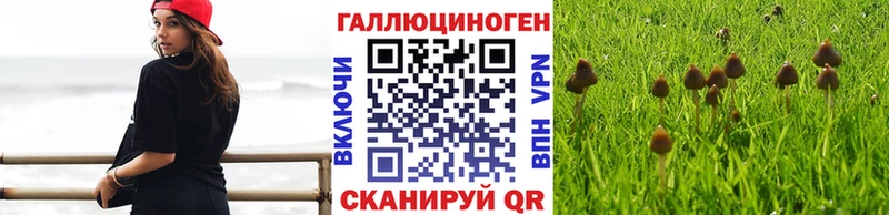 цена наркотик блэк спрут зеркало даркнет как зайти Верещагино Галлюциногенные грибы ЛСД